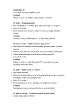 Paraugs 'Eglīte: scenārijs pirmsskolas vecuma bērniem ar dziesmām, rotaļām un radošām akt', 4.