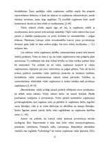 Referāts 'Valsts sektora loma ekonomikā', 12.