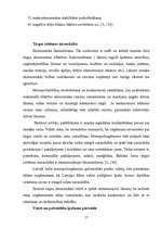 Referāts 'Valsts sektora loma ekonomikā', 17.