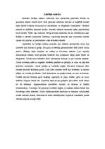 Referāts 'Senā Roma', 11.