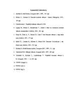 Referāts 'Senā Roma', 20.