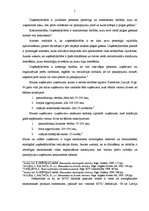 Referāts 'Mazo un vidējo uzņēmumu loma ekonomikā', 5.