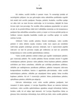 Diplomdarbs 'Valsts sociālie pabalsti', 4.