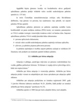 Diplomdarbs 'Valsts sociālie pabalsti', 19.