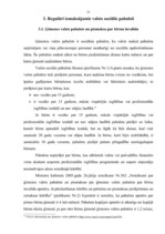 Diplomdarbs 'Valsts sociālie pabalsti', 21.