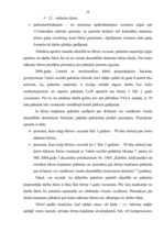 Diplomdarbs 'Valsts sociālie pabalsti', 28.