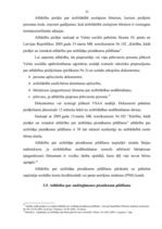 Diplomdarbs 'Valsts sociālie pabalsti', 32.