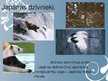 Prezentācija 'Japāna', 15.