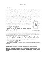 Paraugs 'Vitstona tilts', 1.