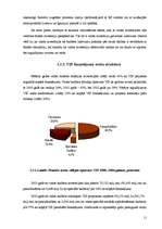 Referāts 'IKP. Maksājumu bilance. Tirdzniecības bilance', 10.