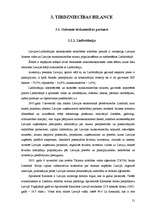 Referāts 'IKP. Maksājumu bilance. Tirdzniecības bilance', 20.