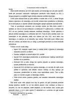 Referāts 'Lietotāja saskarnes izstrādes tehnoloģija XUL', 6.