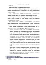 Referāts 'Lietotāja saskarnes izstrādes tehnoloģija XUL', 29.