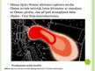 Prezentācija 'Olaines šķidrie atkritumi', 3.