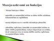 Prezentācija 'Pētījums par muzeju nozari', 4.