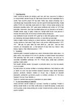 Konspekts 'Kultūra un etiķete Īrijā', 1.