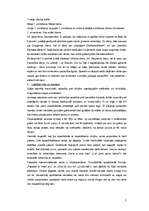 Konspekts 'Kultūra un etiķete Īrijā', 5.