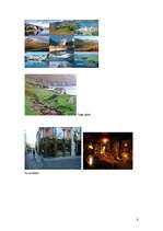 Konspekts 'Kultūra un etiķete Īrijā', 8.