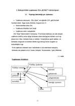 Referāts 'SIA "X" saimnieciskās darbības analīze', 11.