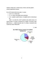 Referāts 'SIA "X" saimnieciskās darbības analīze', 12.