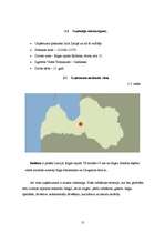 Referāts 'SIA "X" saimnieciskās darbības analīze', 13.