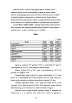 Referāts 'SIA "X" saimnieciskās darbības analīze', 18.