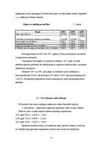 Referāts 'SIA "X" saimnieciskās darbības analīze', 19.