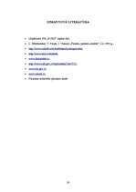 Referāts 'SIA "X" saimnieciskās darbības analīze', 28.