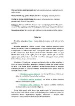 Konspekts 'Rotaļnodarbība dabaszinībās pirmsskolā', 5.