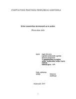 Referāts 'Krāsu izmantošana eiroremontā un to analīze', 1.