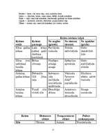 Referāts 'Krāsu izmantošana eiroremontā un to analīze', 15.