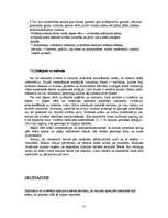 Referāts 'Krāsu izmantošana eiroremontā un to analīze', 17.