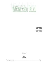 Referāts 'Kaudzīšu romāns "Mērnieku laiki"', 1.