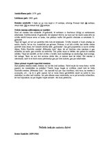 Referāts 'Kaudzīšu romāns "Mērnieku laiki"', 3.