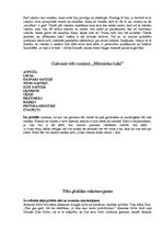 Referāts 'Kaudzīšu romāns "Mērnieku laiki"', 8.