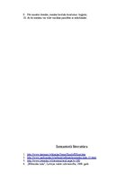 Referāts 'Kaudzīšu romāns "Mērnieku laiki"', 15.