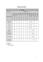 Paraugs 'Kvalitātes audits kursa darbam "Reklāma un tās palīglīdzekļi"', 2.