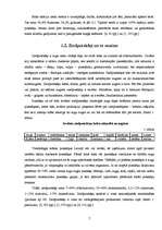 Referāts 'Bišu produktu iegūšana un izmantošana', 7.