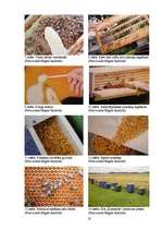 Referāts 'Bišu produktu iegūšana un izmantošana', 32.