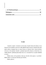 Konspekts 'Ojārs Vāciets', 4.