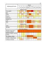 Referāts 'Uzņēmuma "Latfood" mārketinga vides un stratēģijas analīze, darbības plānošana', 32.
