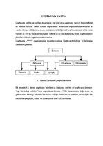 Referāts 'Uzņēmuma attīstības plāns', 10.