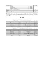 Referāts 'Uzņēmuma attīstības plāns', 14.