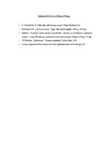 Referāts 'Uzņēmuma attīstības plāns', 16.