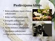 Prezentācija 'Kāzu pērle - uzņēmuma projekts', 7.