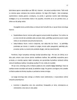 Referāts 'Preču virzīšana tirgū', 17.