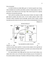 Referāts 'Preču virzīšana tirgū', 22.