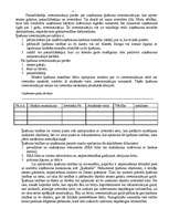 Referāts 'Mācību prakse finanšu grāmatvedībā', 7.