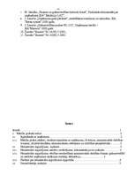 Referāts 'Mācību prakse finanšu grāmatvedībā', 31.