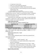 Konspekts '"SEB Unibankas" piedāvātie kredīti un līzings', 5.